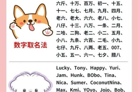 半夜出生的属狗男孩怎么取名，宜用什么字姓名