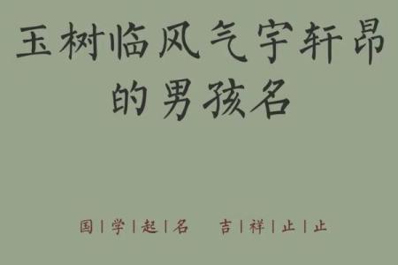 2019年4月23号丑时出生的男孩应该起什么样的名字姓名