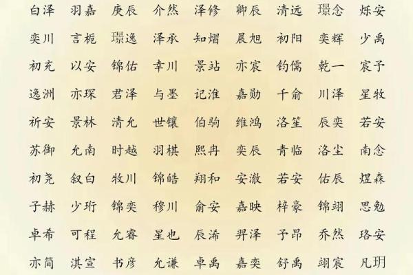 2019年6月5号子时出生的男孩如何起名姓名