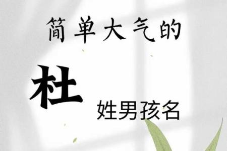 杜姓男孩名字大全-杜姓男孩起名字大全-杜姓名字大全姓名