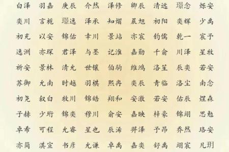 2019年6月5号子时出生的男孩如何起名姓名