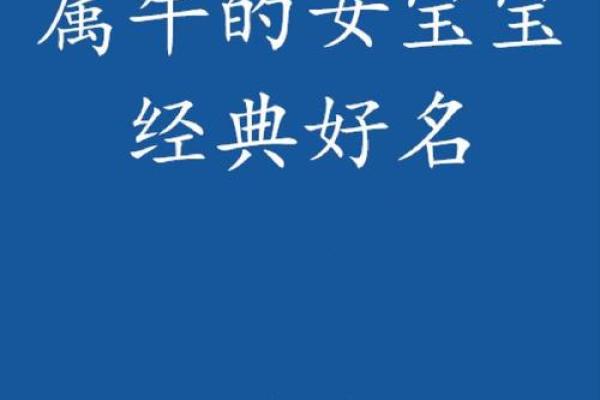 中午1点出生的属牛男孩适合取什么名字姓名