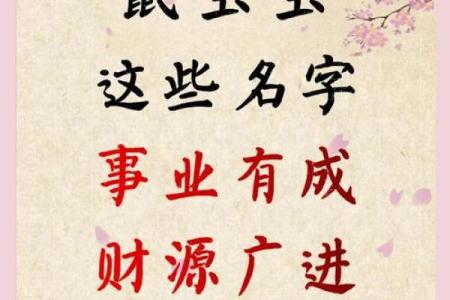 怎么样下午4点出生的属鼠男孩取名字姓名