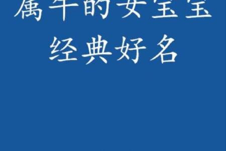 中午1点出生的属牛男孩适合取什么名字姓名