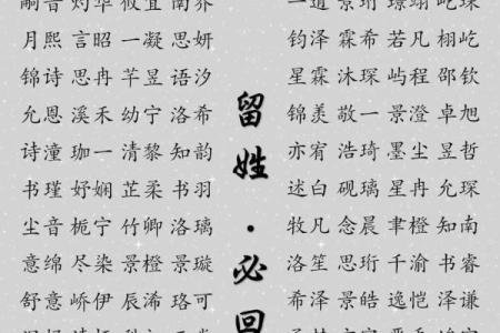 2019年4月28号寅时出生的男孩要怎么起名字姓名