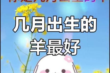 早上六点出生的属羊男孩如何起名，适合什么字姓名