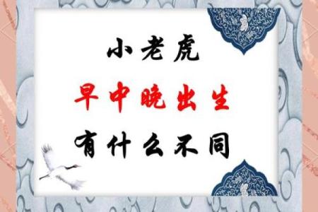 中午12点出生的属虎男孩如何起名，宜用什么字姓名
