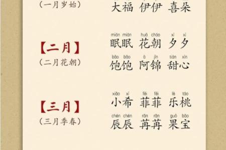 2019年2月11日出生的女宝宝起名大全,五行属什么？姓名