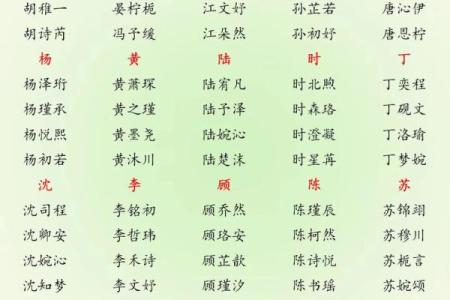 2019年4月20号丑时出生的男孩起名时要注意什么姓名