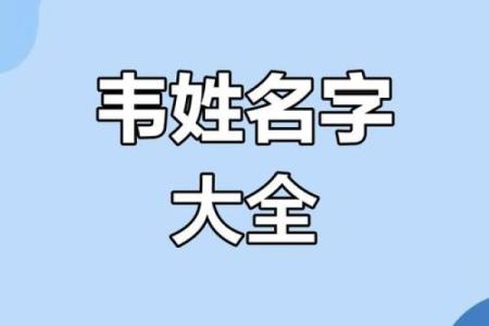 韦姓女孩名字大全-韦姓女孩起名字大全-韦姓名字大全姓名