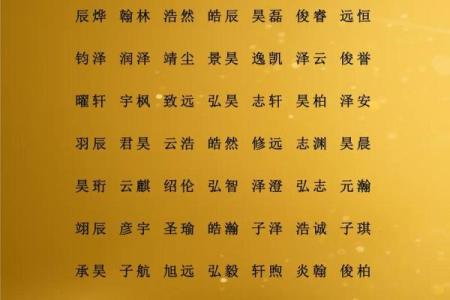 2019年3月15号子时出生的男孩应该起什么样的名字姓名