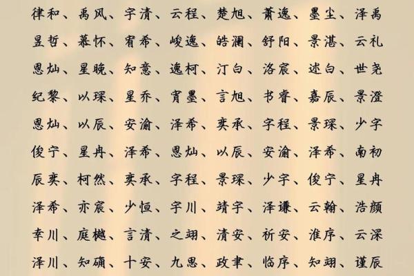 2019年5月24号寅时出生的男孩应该起什么样的名字姓名 2019年5月24号寅时出生的男孩应该起什么样的名字姓名