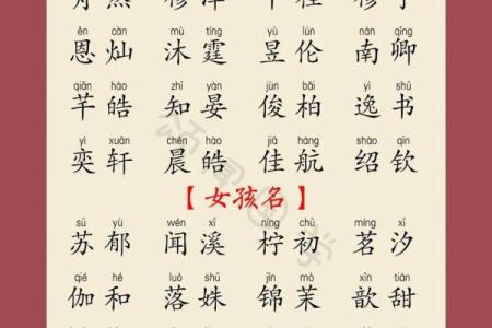 属龙子时出生的男孩要怎么取名-用什么字好-姓名