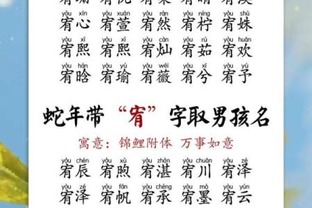 下午4点出生的属蛇男孩要如何起名,宜用什么字姓名
