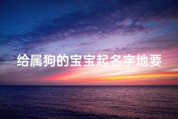 中午1点出生的属狗男孩如何取名,宜用什么字姓名 中午1点出生的属狗男孩如何取名,宜用什么字姓名