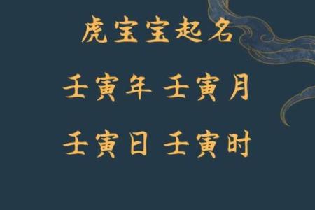 晚上8点出生的属虎男孩如何起名,宜用什么字姓名