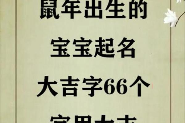 晚上1点出生的属鼠男孩取名大全姓名