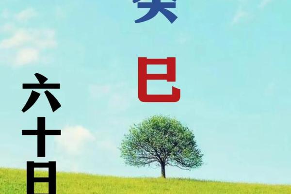 属猴辛时出生的男孩应该如何起名,用什么字好姓名 属猴辛时出生的男孩应该如何起名,用什么字好姓名