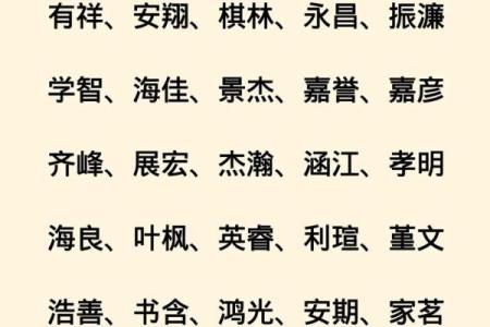 2019年4月3号子时出生的男孩要怎么起名字姓名