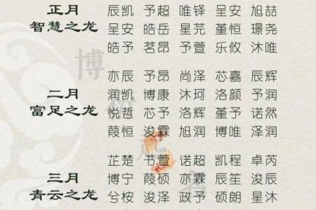 2019年6月28号卯时出生的男孩应该起什么样的名字姓名