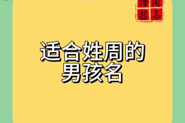 2019年出生的姓周女孩如何起名，宜用什么字姓名_1