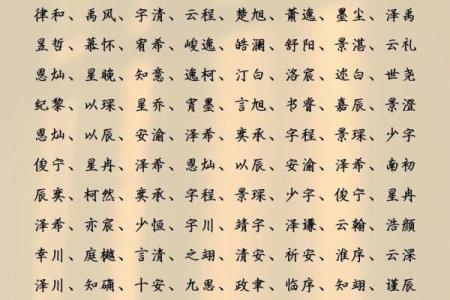 2019年5月15号子时出生的男孩要怎么起名字姓名