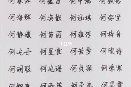 何姓女孩名字大全-何姓女孩起名字大全-何姓名字大全姓名