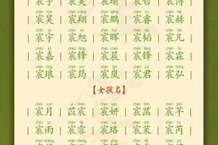 下午一点出生的属猴男孩如何取名，宜用什么字姓名