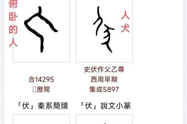 伏姓女孩名字大全-伏姓女孩起名字大全-伏姓名字大全姓名 伏姓女孩名字大全-伏姓女孩起名字大全-伏姓名字大全姓名