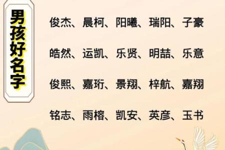 2019年5月23号子时出生的男孩起名时要注意什么姓名