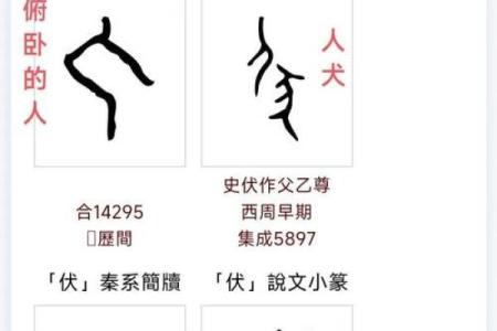 伏姓女孩名字大全-伏姓女孩起名字大全-伏姓名字大全姓名