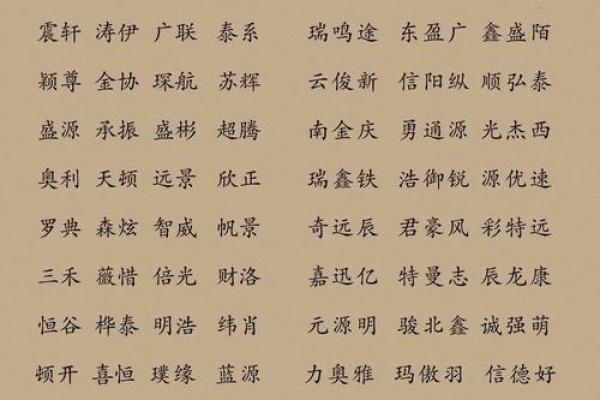 装饰公司名字-名字大全姓名