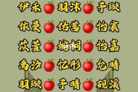 兔年女孩子起名字大全-兔年起名字姓名