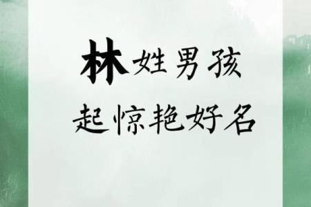 2019年6月14号寅时出生的男孩如何起名姓名