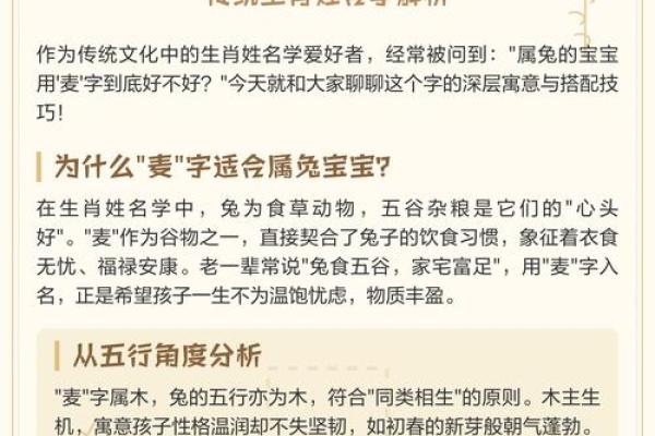 半夜出生属兔的男孩应该怎么样去名字呢姓名