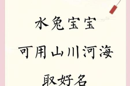 半夜出生属兔的男孩应该怎么样去名字呢姓名