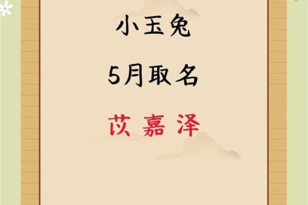 早上7点出生的属兔男孩如何取名姓名