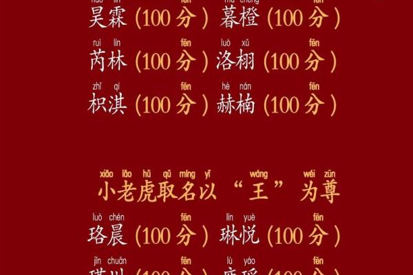 中午出生的属虎男孩如何起名，适合什么字姓名