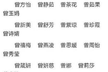 奚姓男孩名字大全-奚姓男孩起名字大全-奚姓名字大全姓名