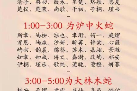 2019年6月26号卯时出生的男孩起名方法姓名