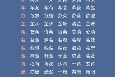 4月份出生的属兔男孩怎样取名字好姓名