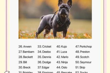 上午出生的属狗男孩如何取名，适合什么字姓名