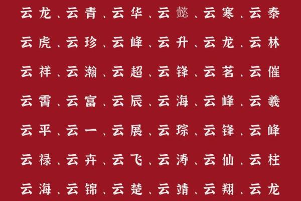 2019年3月25号未时出生的男孩起名方法姓名