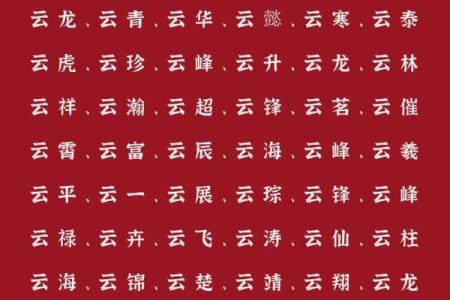 2019年3月25号未时出生的男孩起名方法姓名