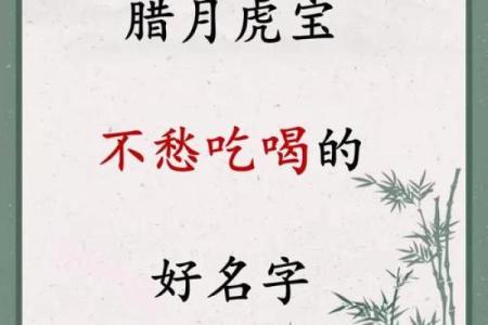 早上6点出生的属虎男孩如何起名，宜用什么字姓名