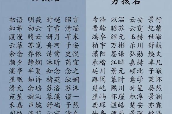 2019年6月29号寅时出生的男孩应该起什么样的名字姓名