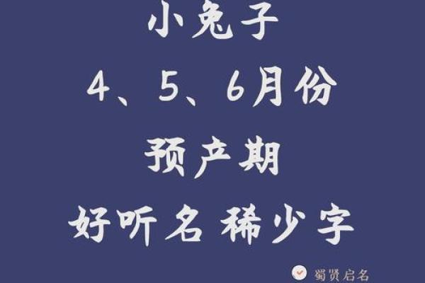 早上出生属兔的男孩应该怎样取名字呢姓名
