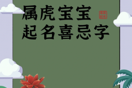 晚上1点出生的属虎男孩如何起名，用什么字姓名