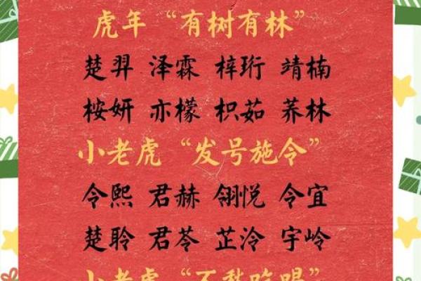 1月份出生的属鸡男孩起什么名字好姓名
