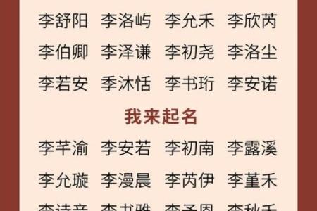 2019年5月17号卯时出生的男孩应该起什么样的名字姓名